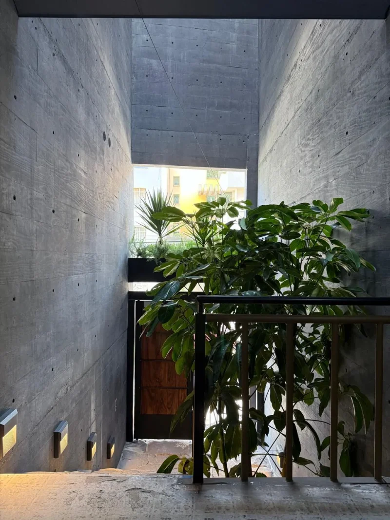 New Atelier Ars Apartment in Del Valle Centro