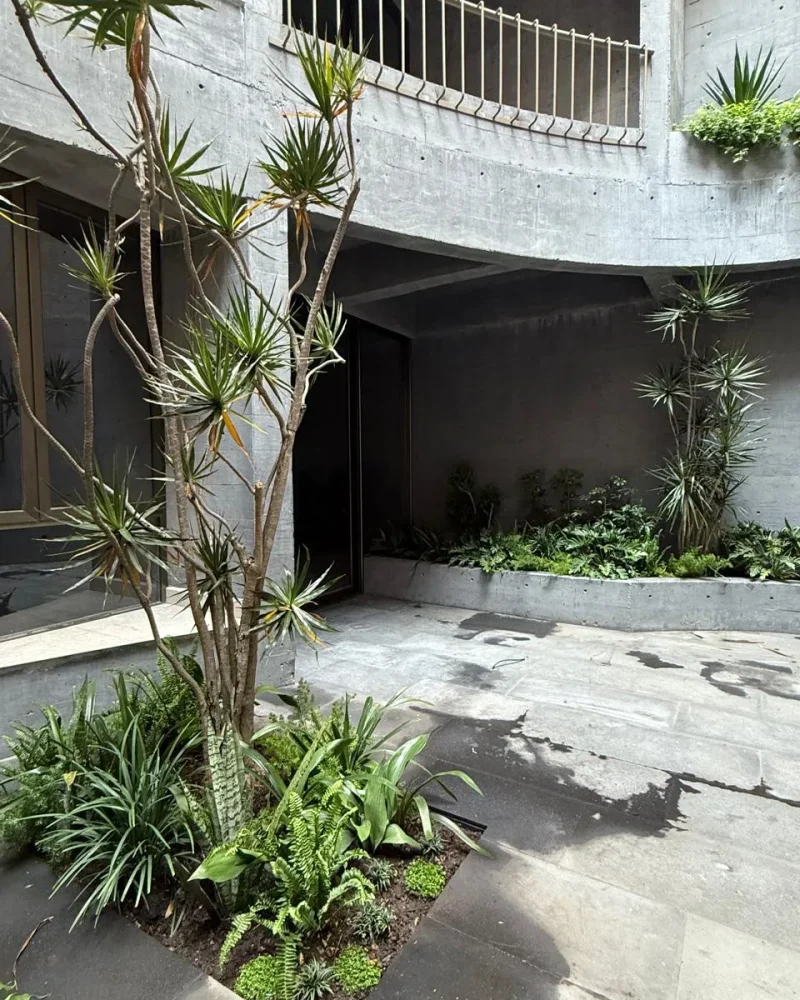 New Atelier Ars Apartment in Del Valle Centro