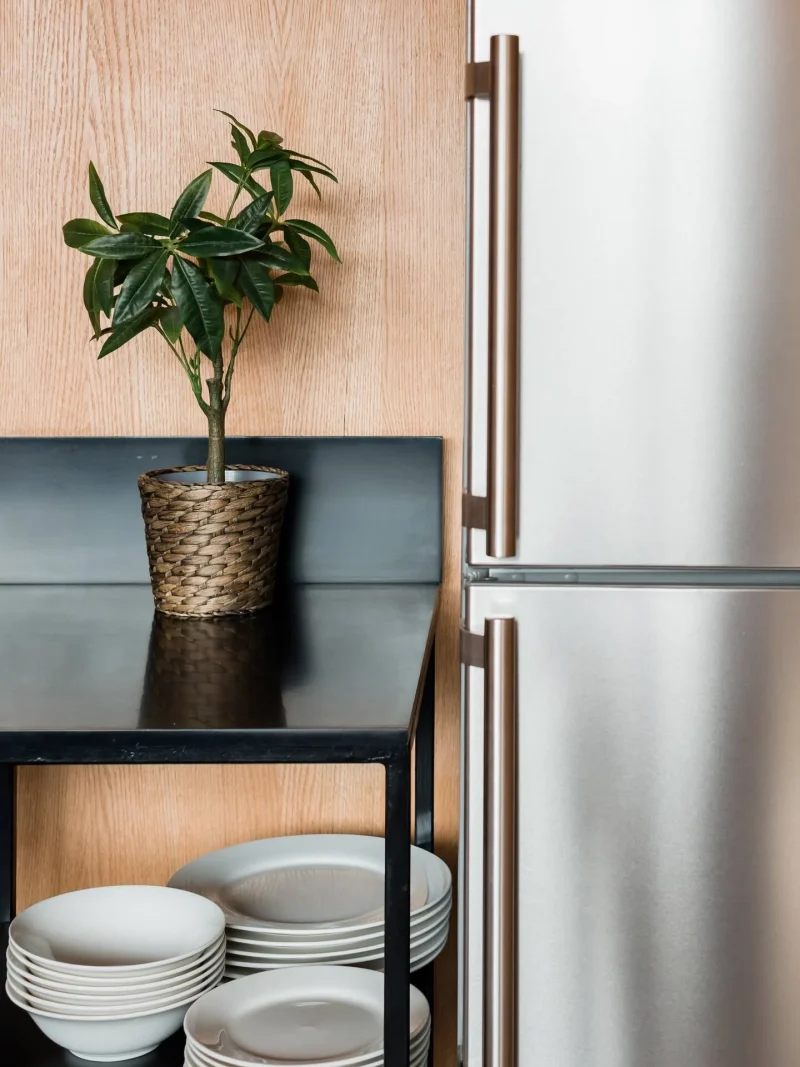 Two-Bedroom Urban View Loft in Roma Norte